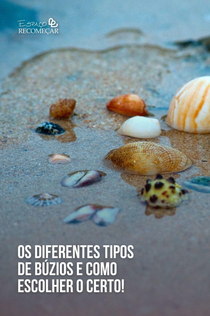 existe alguma recomendação para consultar os búzios