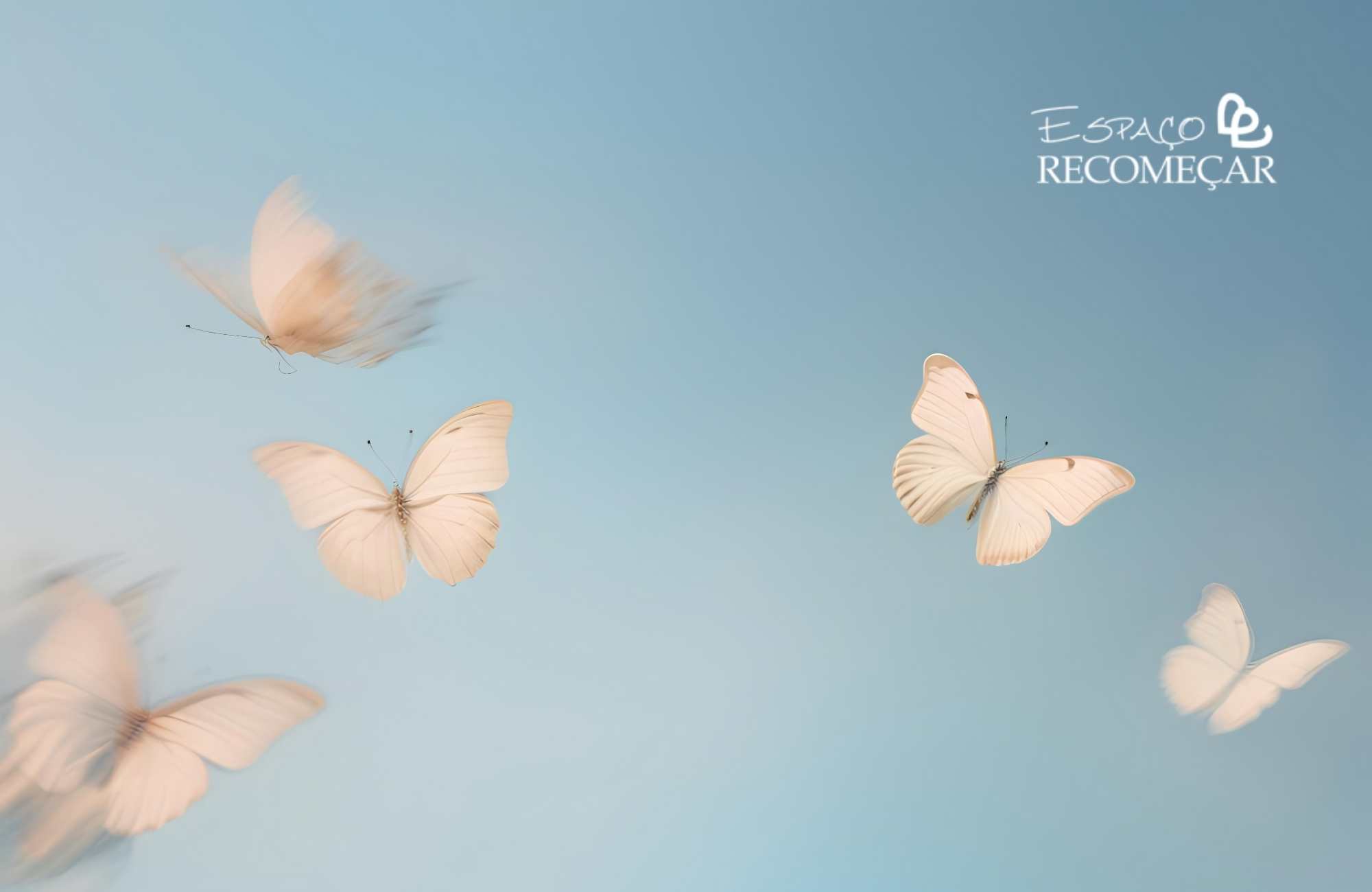 o que significa sonhar com borboleta